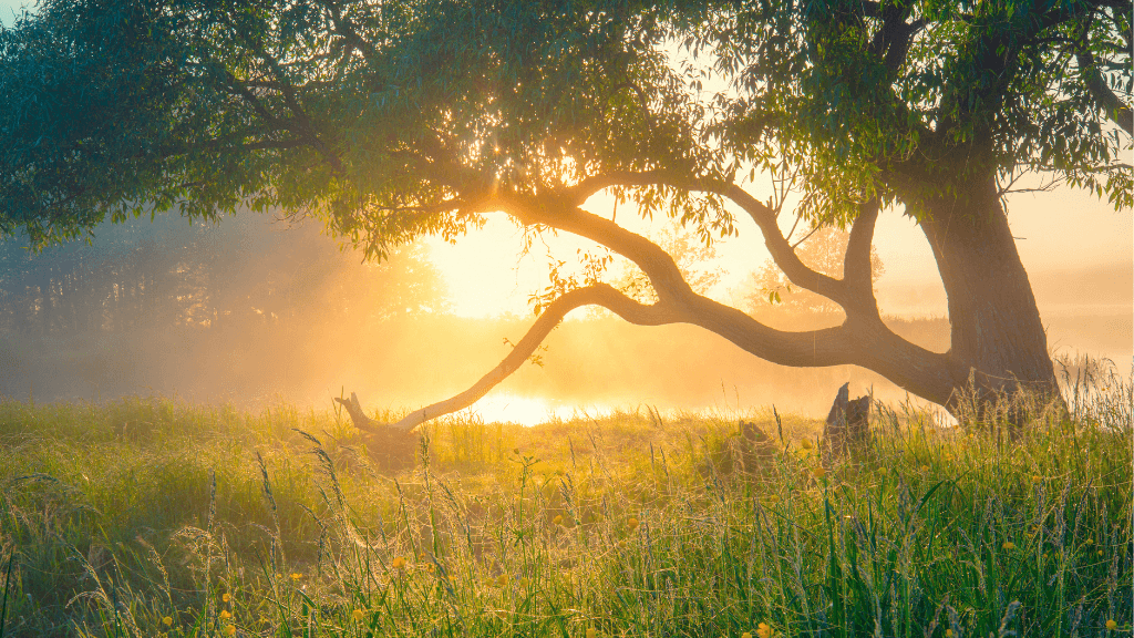 Sustainable Travel Tours with Zero Trace