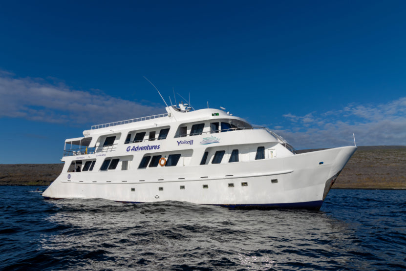 Turtles at Breakfast, Boobies by Lunch: How Small Ships Win the Galápagos Day