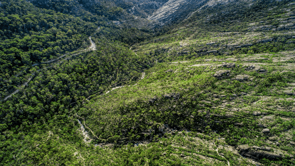 Aerial shot of winding trails through dense forest in the Southern Grampians, part of the 5-Day Grampians Expedition route.