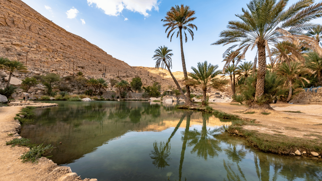 Palm-lined oasis with clear water in Wadi Bani Khalid, a serene stop on the Oman 8 Day Adventure - Desert Stars & Turtle Shores cultural tour.