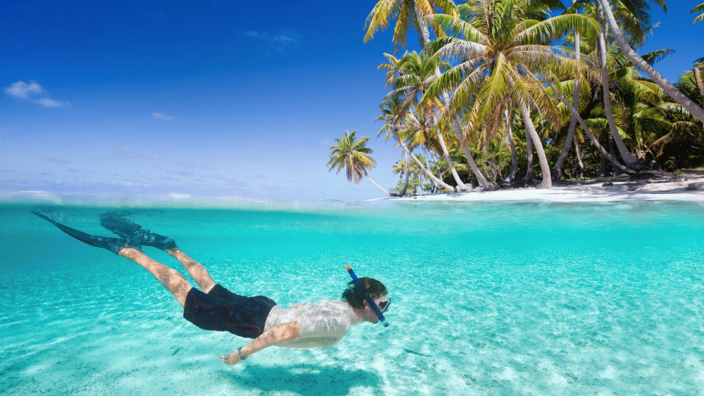 Snorkeler explores crystal-clear waters near a tropical beach on the Belize City to Caye Caulker - Jungle to Reef Journey tour.