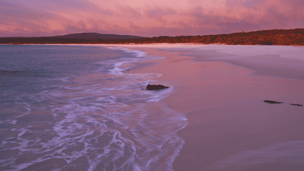 Sunset over a tranquil beach with pink skies and gentle waves, captured during the 4-day guided Sapphire Coast Trek adventure.