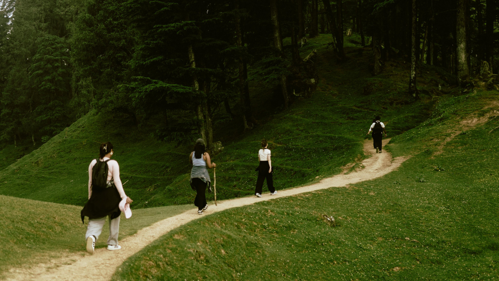 Group hiking lush green forest trail in Northern Québec. Part of the 7-day adventure featuring outdoor activities and cultural exploration.