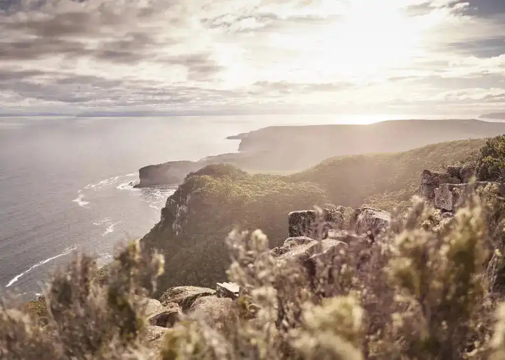 Scenic view of a coastal landscape with cliffs and ocean.