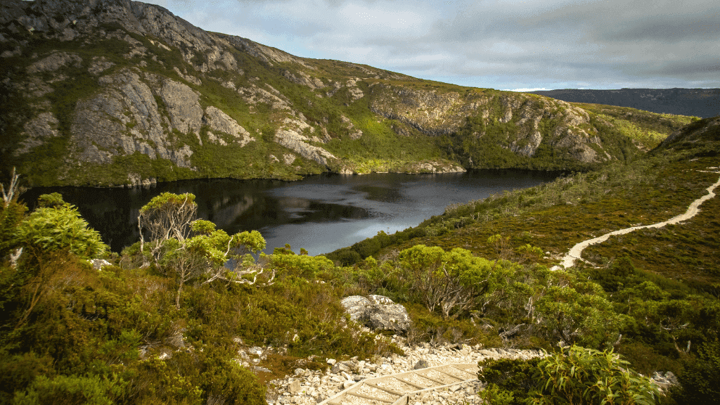 Winding hiking path overlooking dark alpine lake on Cradle Mountain 4-Day Hike, ideal for exploring Tasmania's scenic wilderness.