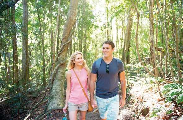 Couple hiking through lush rainforest on East Coast Australia tour. Nature walk experience on Byron to Brisbane 8-day itinerary.