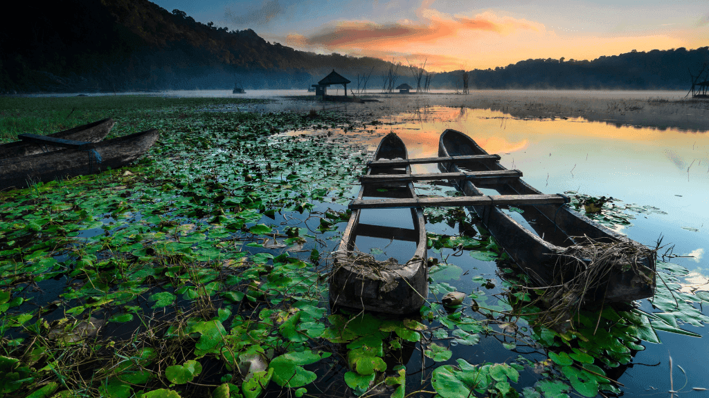 Traditional wooden boats on a lily-covered lake at sunrise, part of Bali Komodo Lombok Tours - Explore Culture & Nature.