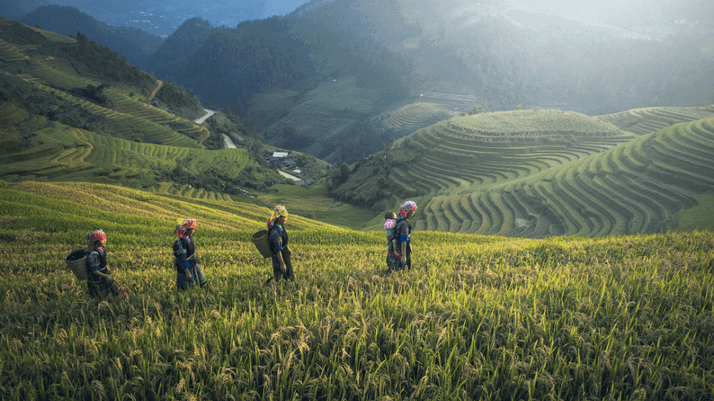 Group of locals walking through terraced rice fields, reflecting cultural immersion in Bali Komodo Lombok Tours - Explore Culture & Nature.