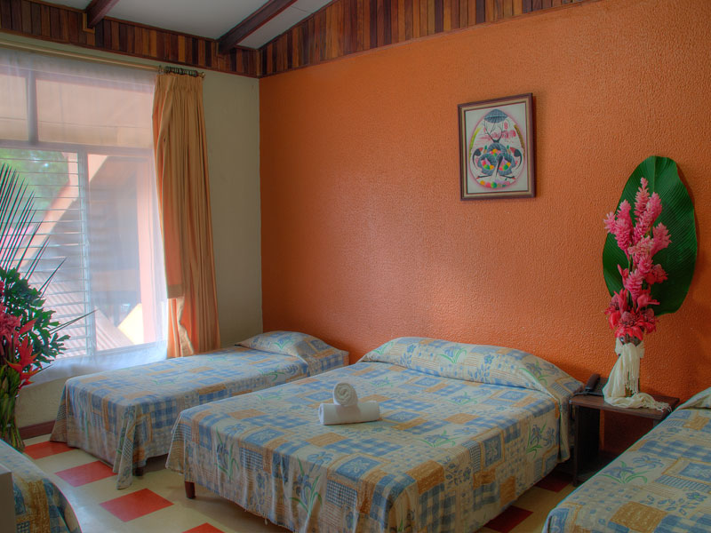 Costa Rica Explorer: Wildlife, Waterfalls & Beaches | 12-Day Group Adventure