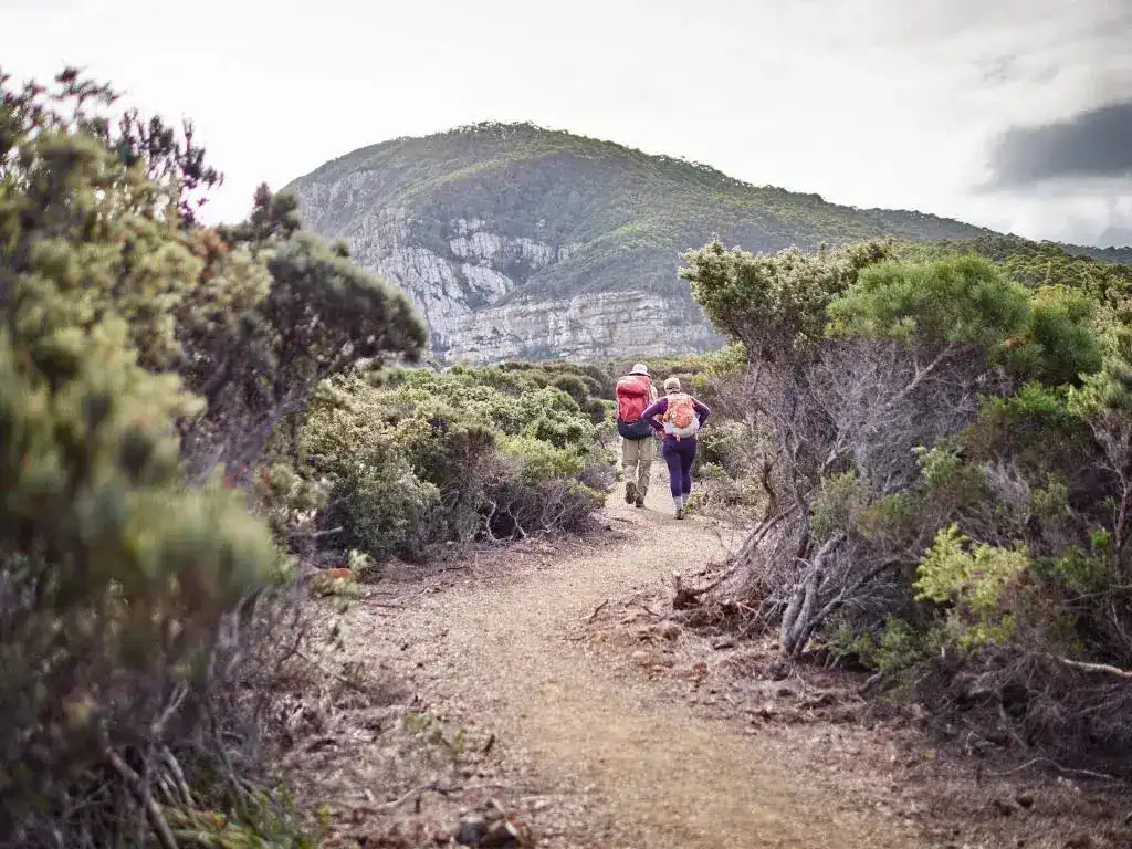 Two hikers on a trail with mountains in the background