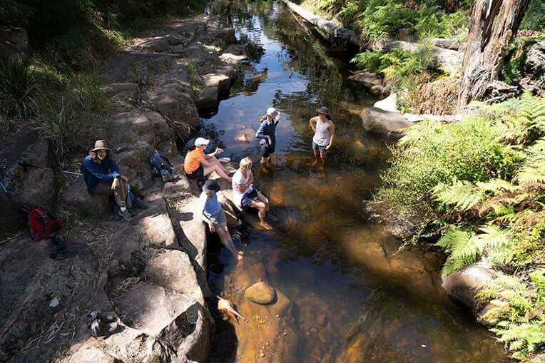 Group enjoying a serene outdoor adventure by a creek in the Central Grampians, perfect for tours and travel.