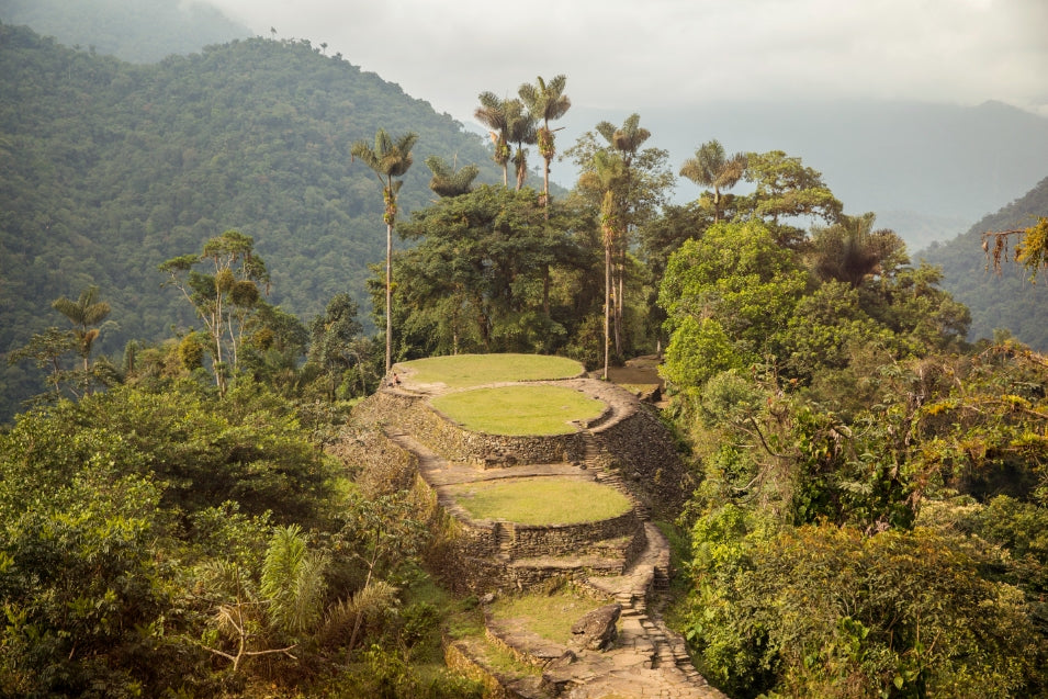 Ancient terraces of the Lost City surrounded by lush jungle, part of the Colombia Tour - Lost City Adventure | Coffee, Coasts itinerary.