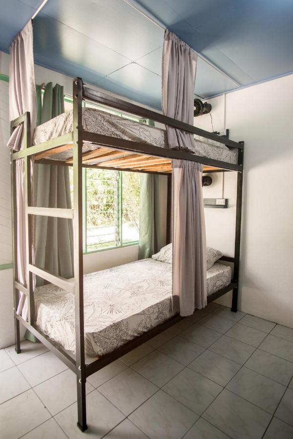 Costa Rica Explorer: Wildlife, Waterfalls & Beaches | 12-Day Group Adventure