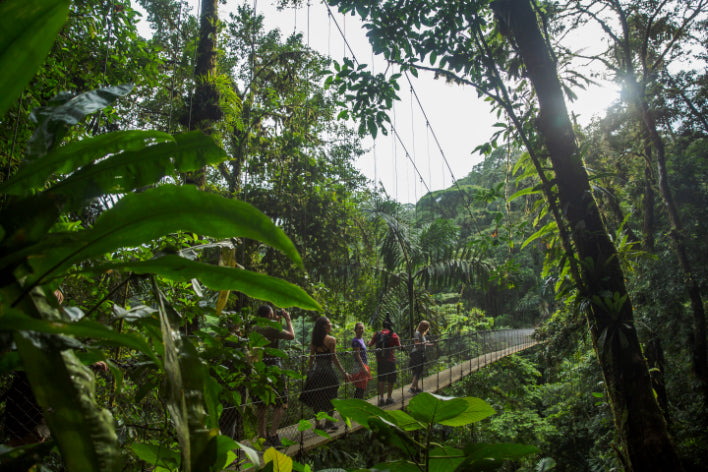 Group crossing a hanging bridge in a lush rainforest, part of the Central America Itinerary - Mexico to Panama | Travel Highlights experience.