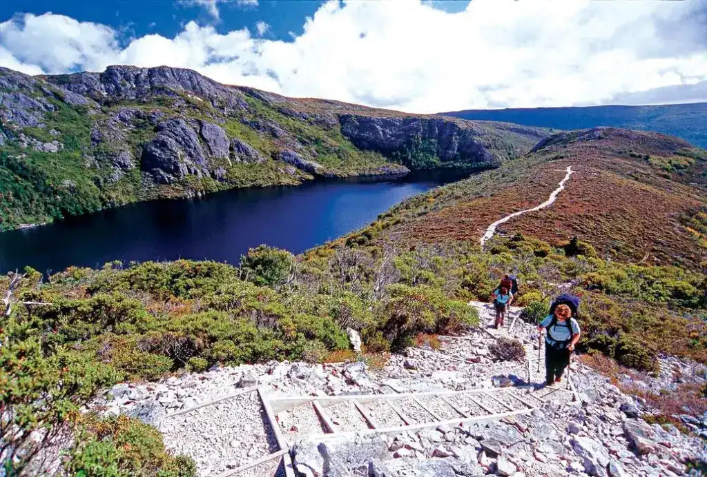 Hikers on Cradle Mountain 4-Day Guided Hike ascending trail above Dove Lake with panoramic alpine scenery, perfect for trekking enthusiasts in Tasmania.
