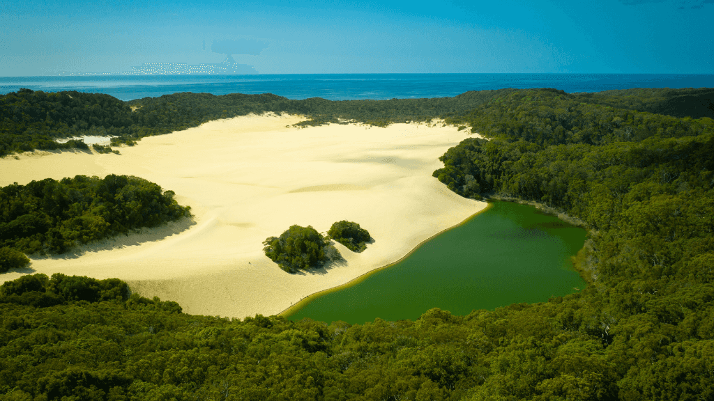 Aerial view of green lake and sand dunes on K'gari, part of East Coast Adventure 14/16-Day Small-Group Tour. Unique natural landscape in Australia.