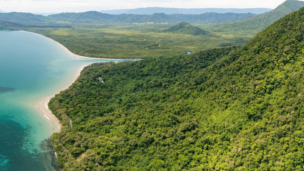 Aerial view of Cape Tribulation coastline in Daintree on East Coast Adventure 14/16-Day Small-Group Tour. Where rainforest meets reef.