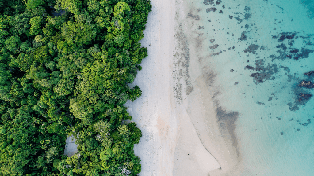 Aerial view of tropical beach and rainforest in Daintree on East Coast Adventure 14/16-Day Small-Group Tour. Remote and pristine coastline.