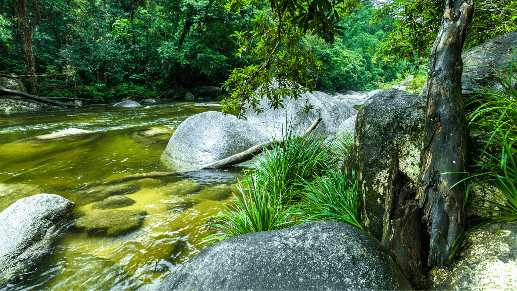 Rainforest river and granite boulders in Daintree on East Coast Adventure 14/16-Day Small-Group Tour. Scenic tropical ecosystem.