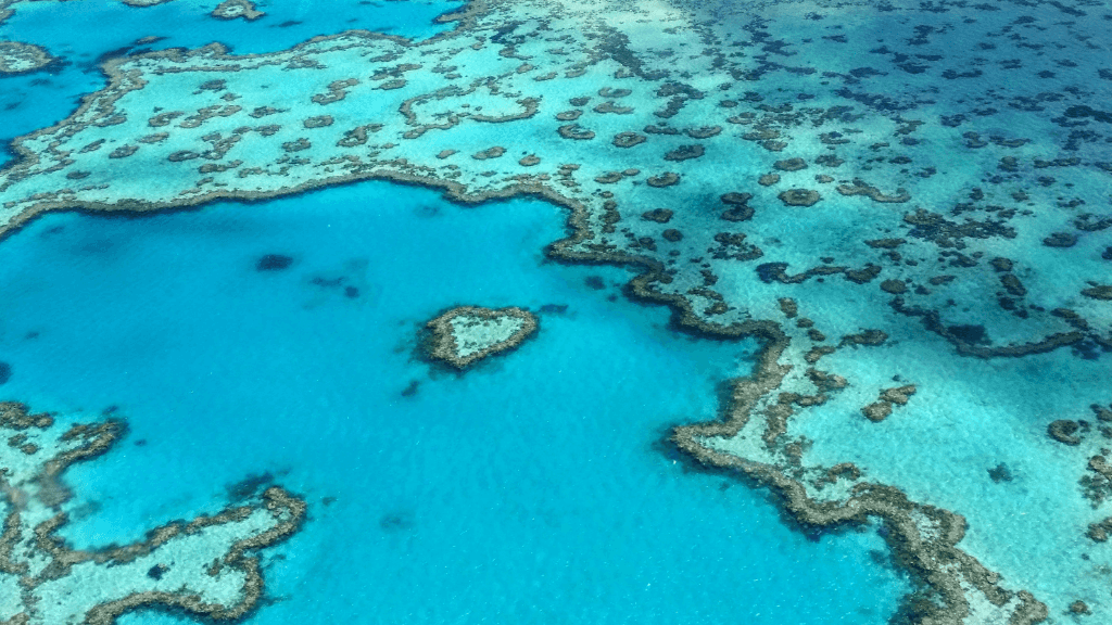 Aerial view of Heart Reef in Great Barrier Reef on East Coast Adventure 14/16-Day Small-Group Tour. Iconic natural wonder of Australia.