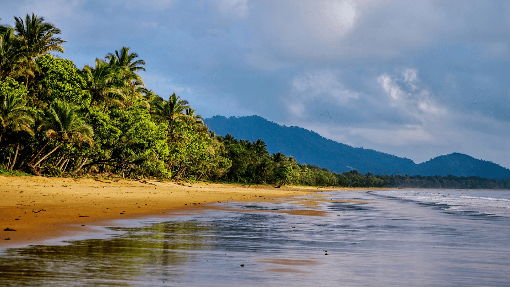Palm-lined beach and rainforest in Mission Beach on East Coast Adventure 14/16-Day Small-Group Tour. Remote tropical escape.