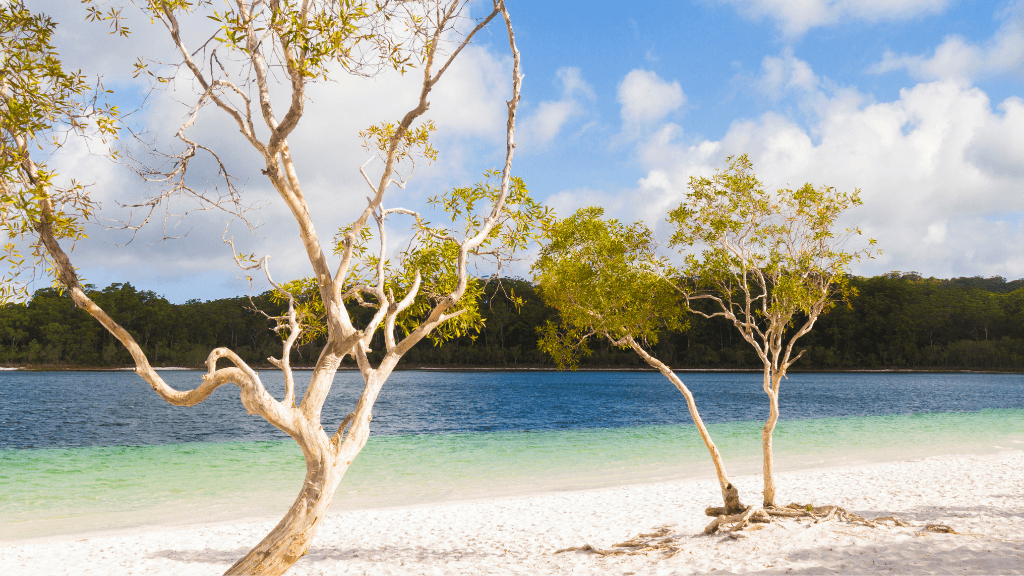 White sand beach and clear lake on K'gari (Fraser Island) featured in East Coast Adventure 14/16-Day Small-Group Tour. Scenic stop for nature lovers.