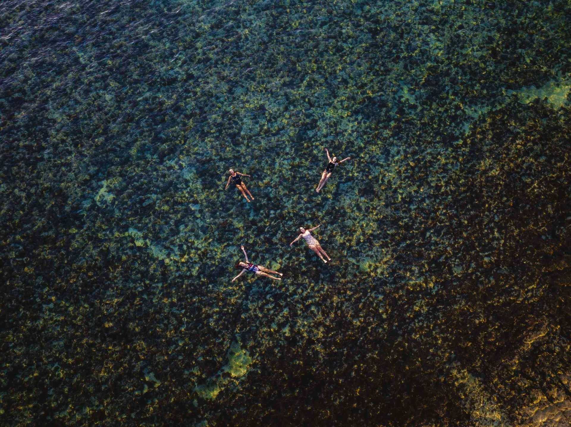 Four snorkelers floating above coral reef in clear waters of Ningaloo Reef during the 4-Day Kayak Expedition & Camp Adventure.