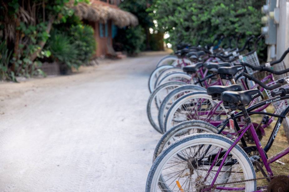 Row of purple rental bikes on a sandy path, ready for exploration during the 32-Day Mexico to Costa Rica Adventure - Small Group Tour. Ideal for eco-friendly travel.