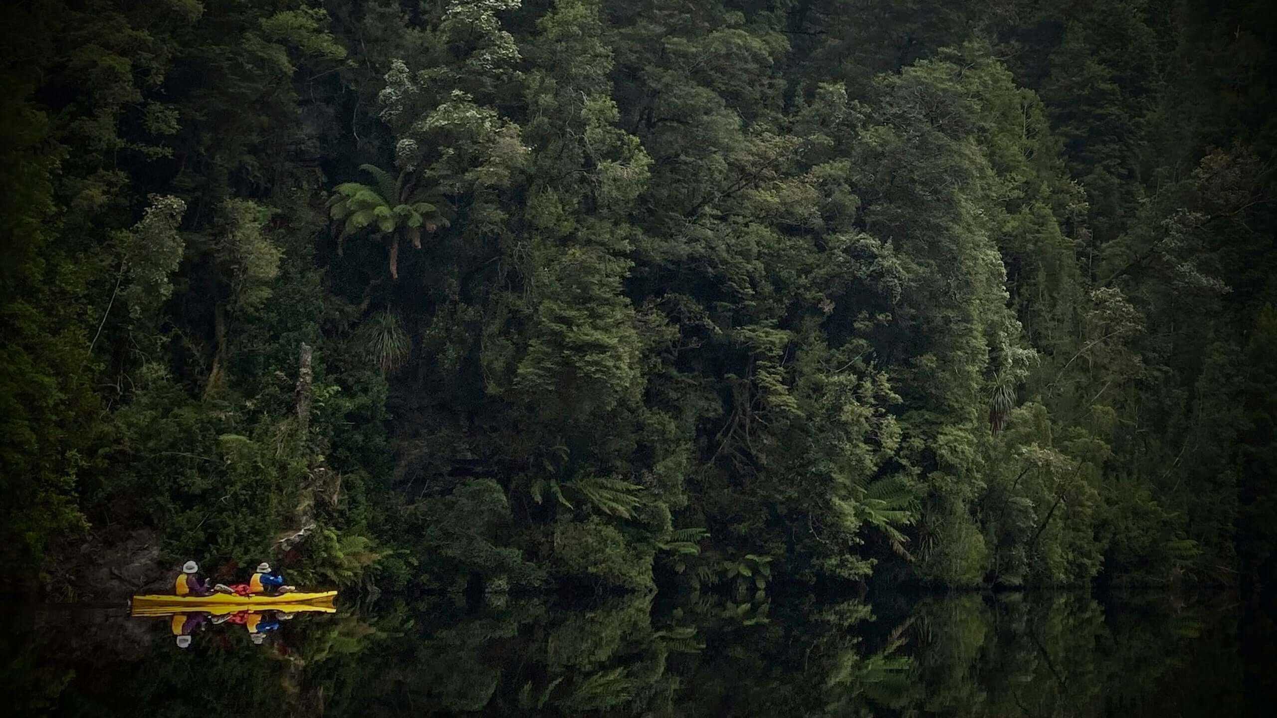 Kayakers paddling along dense rainforest shoreline on Gordon River, highlighting the serenity of Tasmania Kayak Expedition wilderness tour.