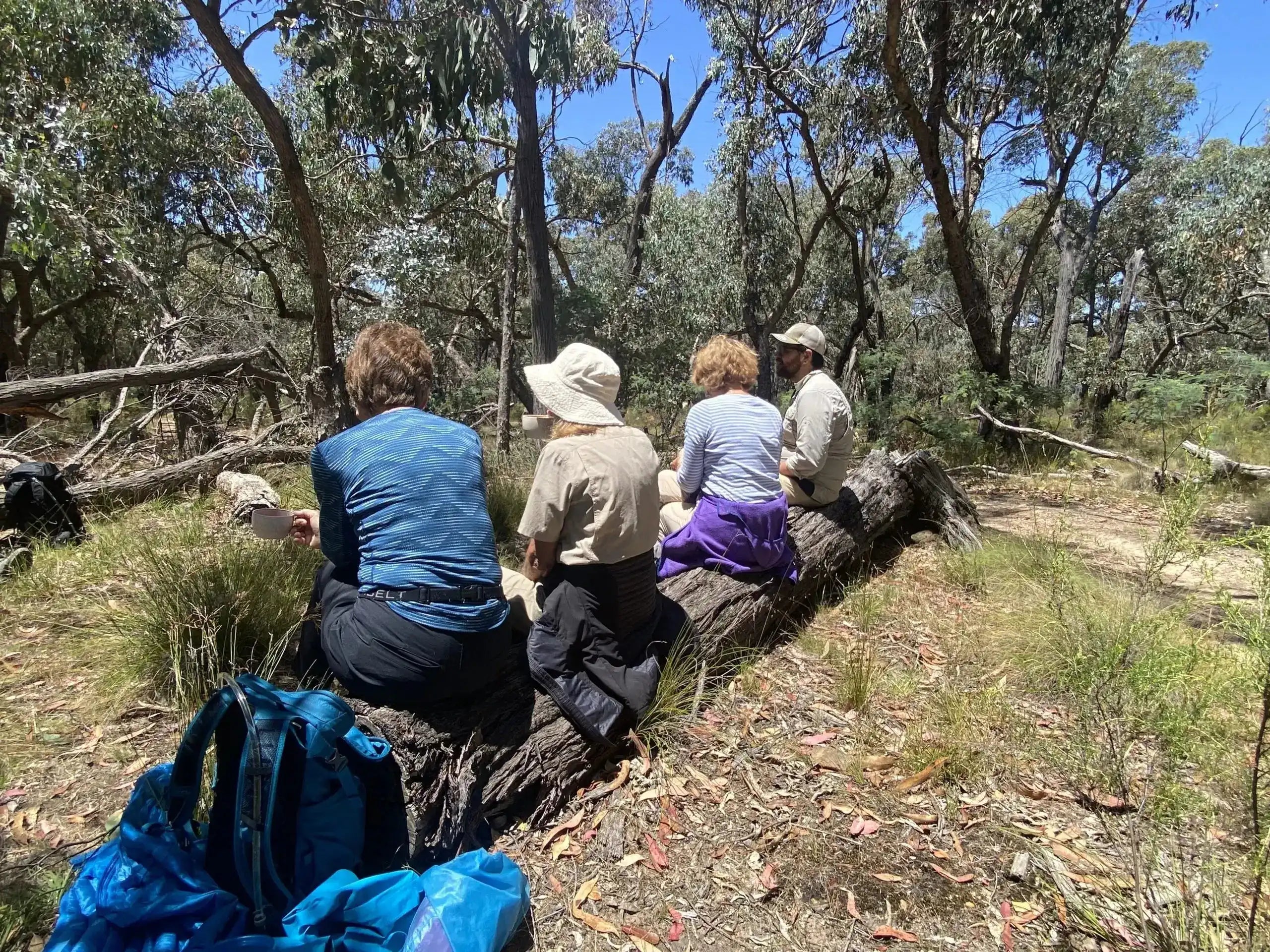 Hikers resting on a fallen log in a eucalyptus forest during the Goldfields Track Walking Tour. Ideal for moderate trekking and nature breaks.