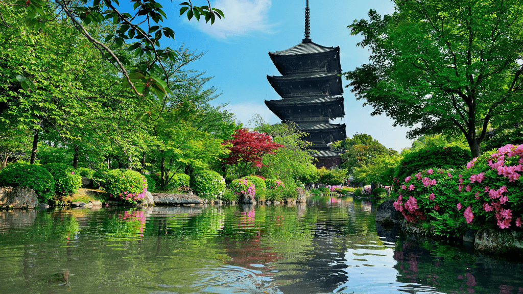 Icons of Japan | 10/14 Days of Temples, Trains & Tastes