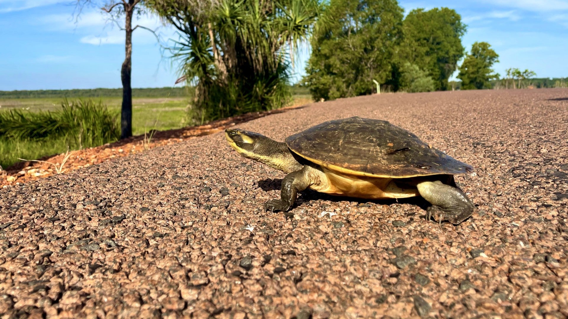 Kakadu & Litchfield: Waterfalls & Wetlands | 3-Day Camping Adventure