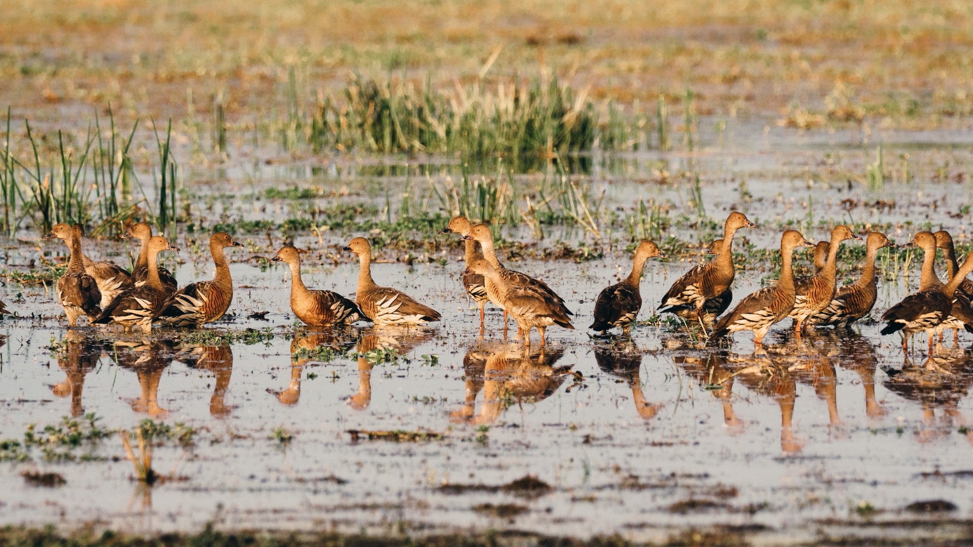 Kakadu & Litchfield: Waterfalls & Wetlands | 3-Day Camping Adventure
