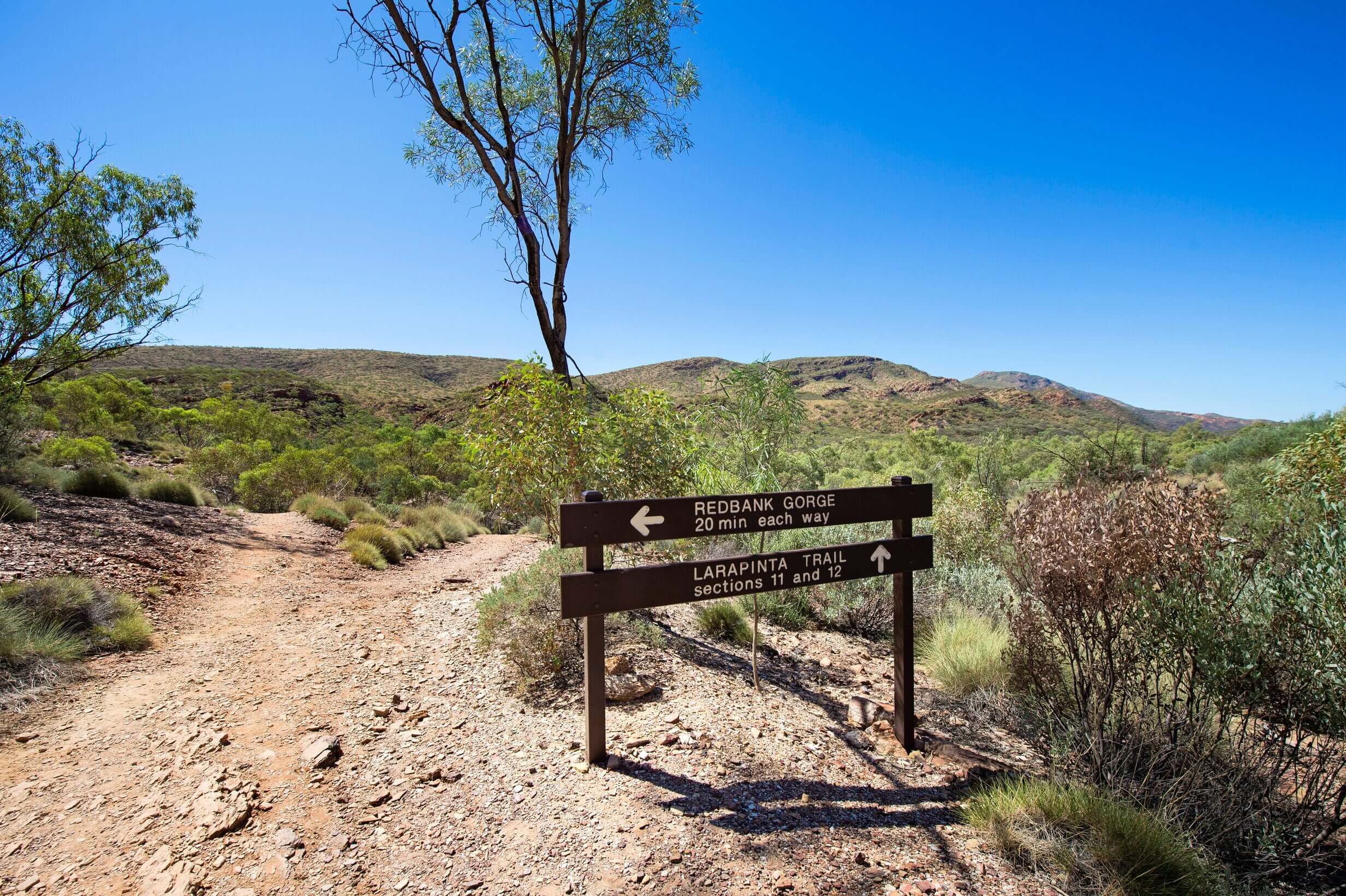 5-Day Larapinta Trail Expedition | West MacDonnell Ranges