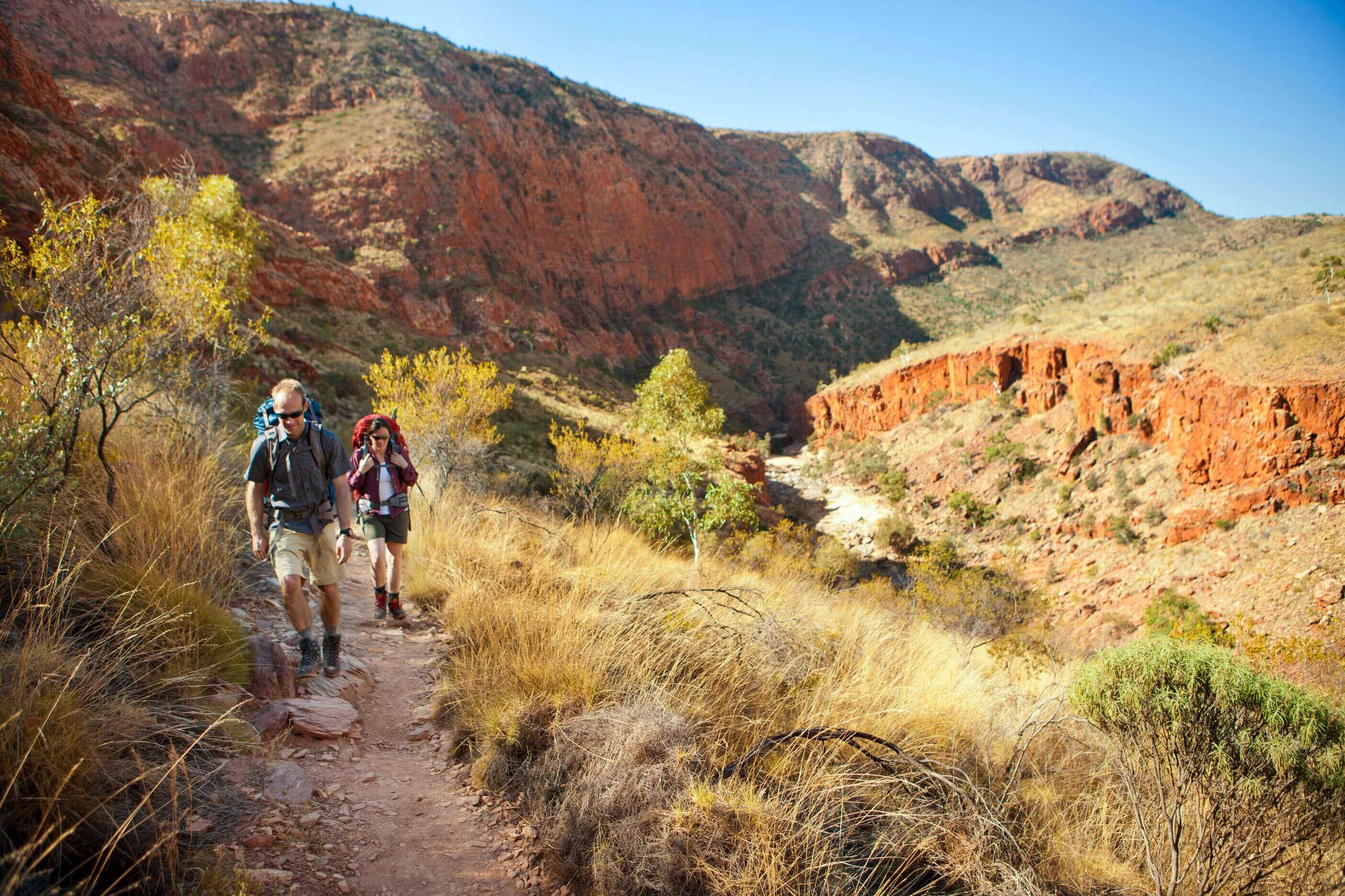 Hikers walking along red rock trail in West MacDonnell Ranges, part of the immersive Larapinta Trail 5-Day Expedition experience.