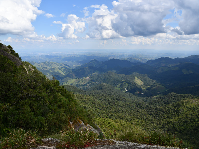 Costa Rica Explorer: Wildlife, Waterfalls & Beaches | 12-Day Group Adventure
