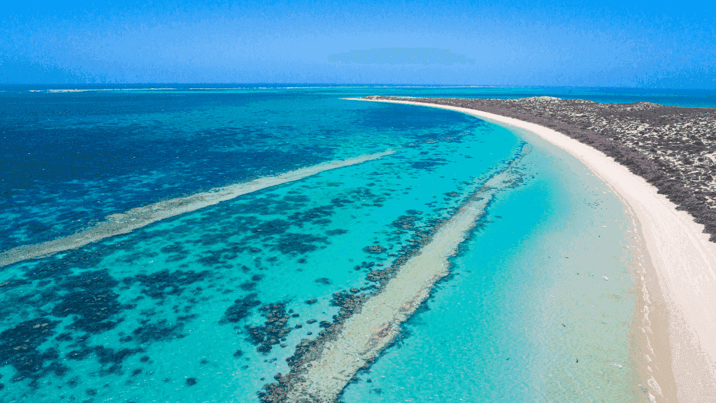 Aerial view of coral reef and white sand beach along the Ningaloo Coast, featured in the 4-Day Ningaloo Kayak Expedition experience.