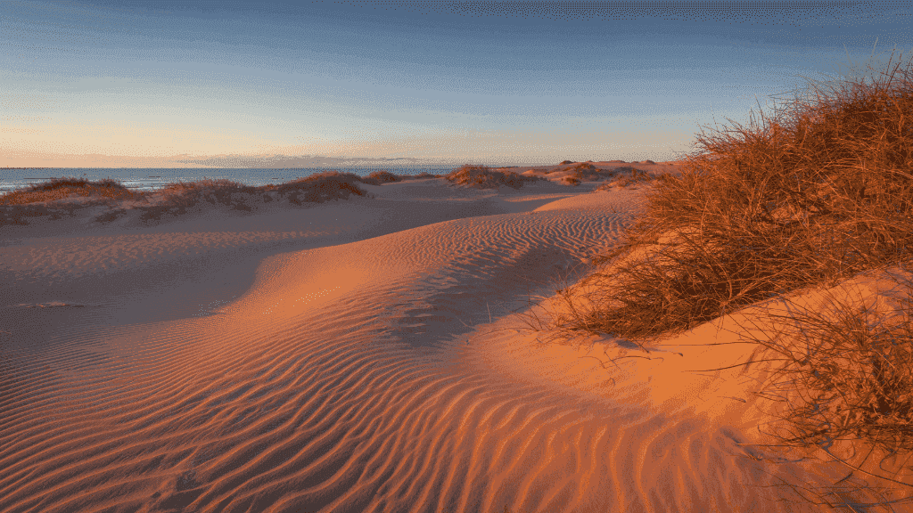 Golden sand dunes glowing at sunset along the Ningaloo Coast, part of the scenic 4-Day Ningaloo Kayak Expedition adventure.