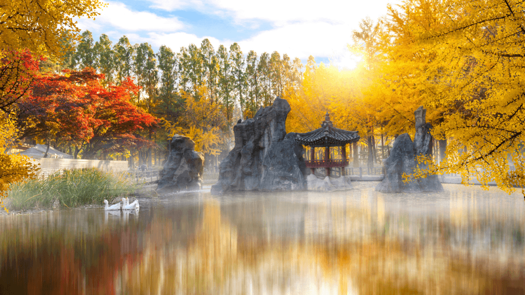 Scenic autumn view of a Korean garden with a traditional pavilion and swans, showcasing nature on a South Korea cultural highlights tour.