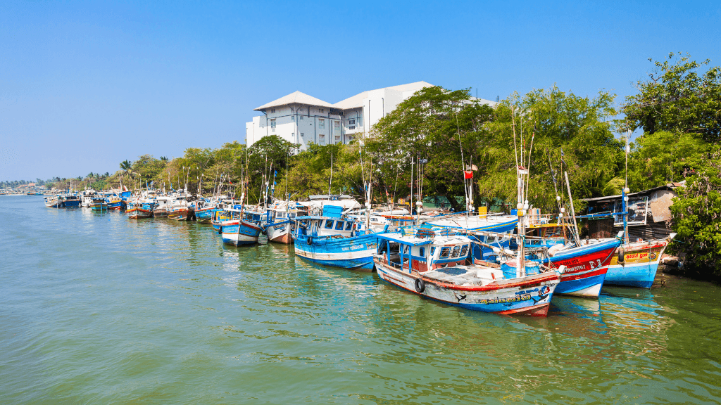 Colorful fishing boats docked along a river in Sri Lanka, showcasing coastal life on the 12-day spice gardens and beach tour.