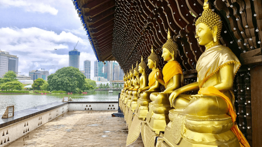 Golden Buddha statues lined up at a lakeside temple in Colombo, featured in the Sri Lanka 12-day cultural and coastal tour.