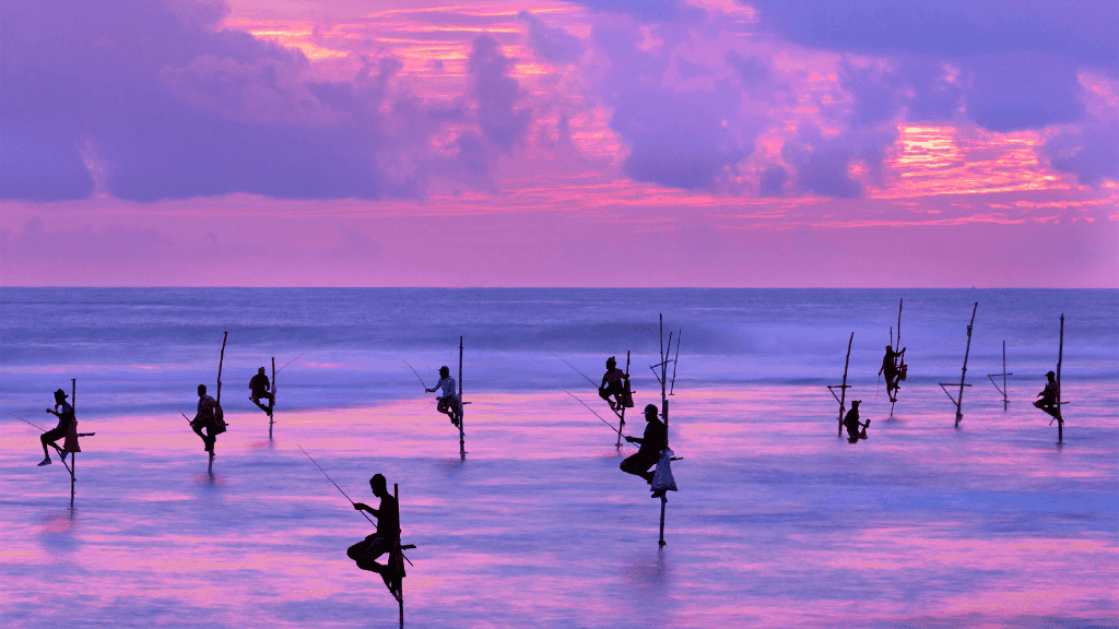 Stilt fishermen silhouetted against a vibrant purple sunset, a cultural highlight of the 12-day Sri Lanka spice and coast tour.