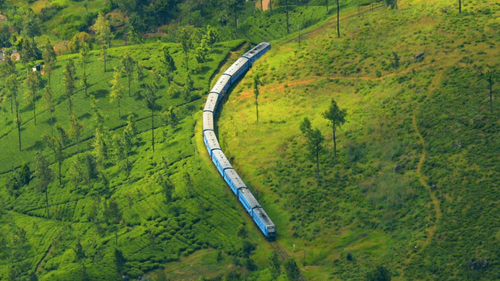 Scenic train winding through Sri Lanka's tea plantations, a key experience on the 12-day spice gardens and coast highlights tour.