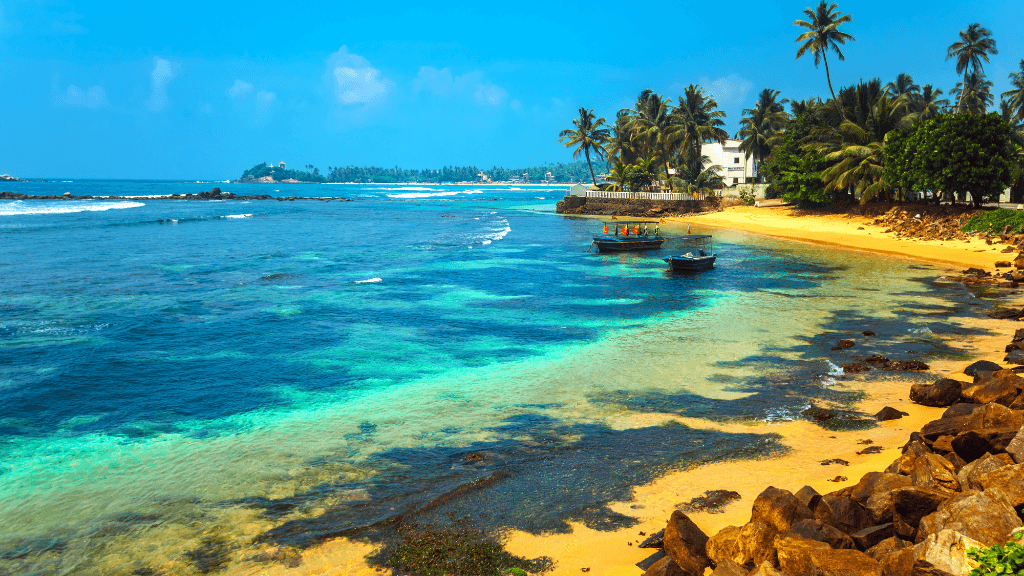 Tropical beach with turquoise waters and palm trees in Sri Lanka, part of the 12-day spice gardens and coastal highlights tour.
