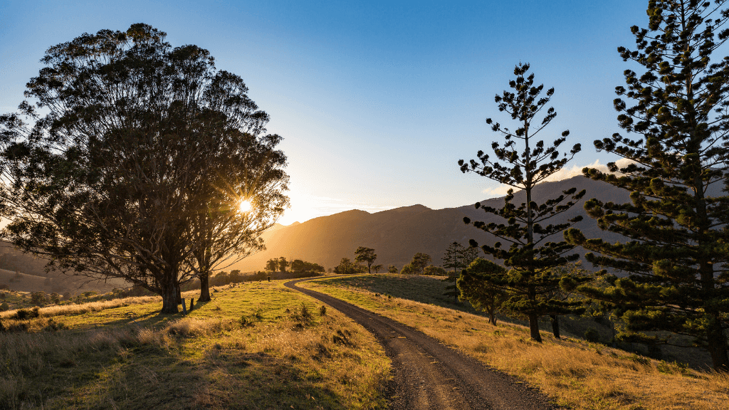 Sunset over winding country road in hinterland on East Coast Australia tour. Scenic drive from Sydney to Brisbane 8-day travel route.