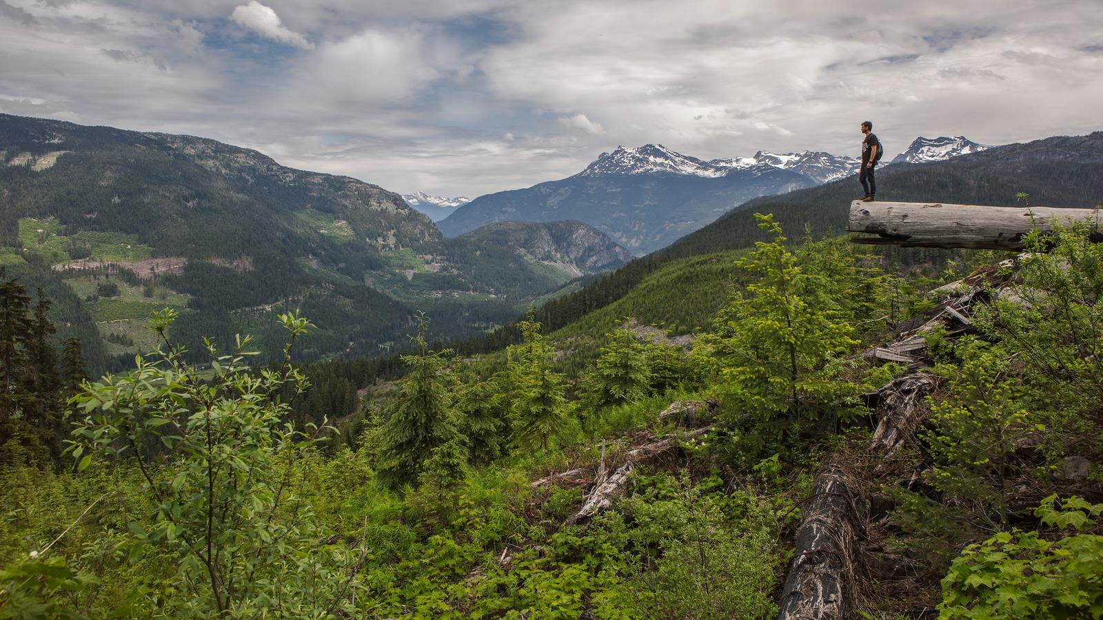 Solo traveler standing on a log with panoramic views of lush valleys and snow-capped mountains on the Explore Rockies 8-Day Tour - Scenic Peaks | Hotel Stays.