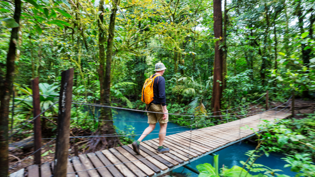 Costa Rica Explorer: Wildlife, Waterfalls & Beaches | 12-Day Group Adventure