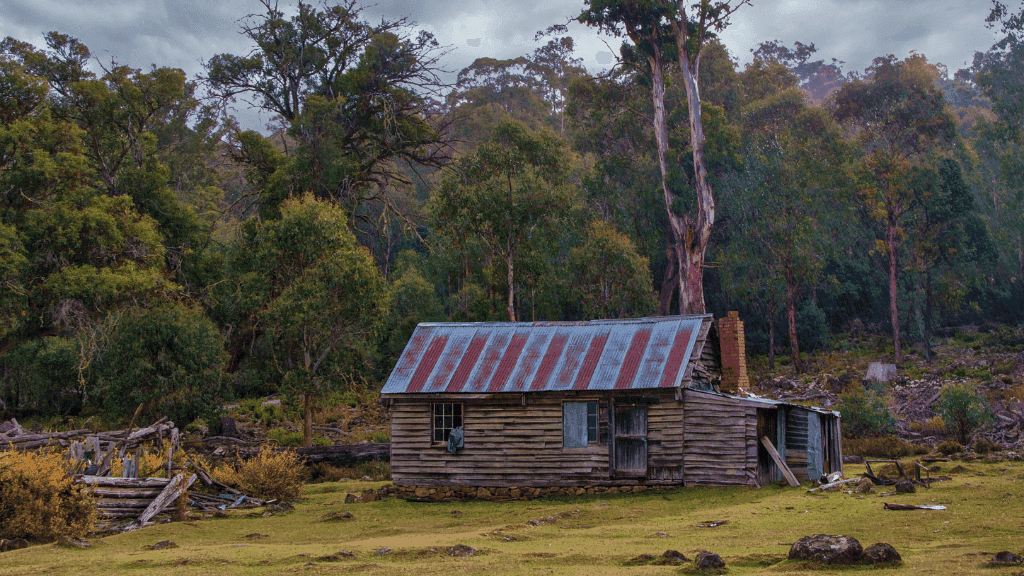 Rustic wooden cabin surrounded by dense forest on the Goldfields Track Walking Tour. Highlights Victoria’s heritage and scenic trails.
