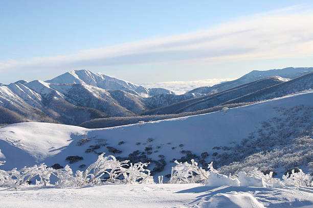 Snowy mountain landscape with trees and a clear sky