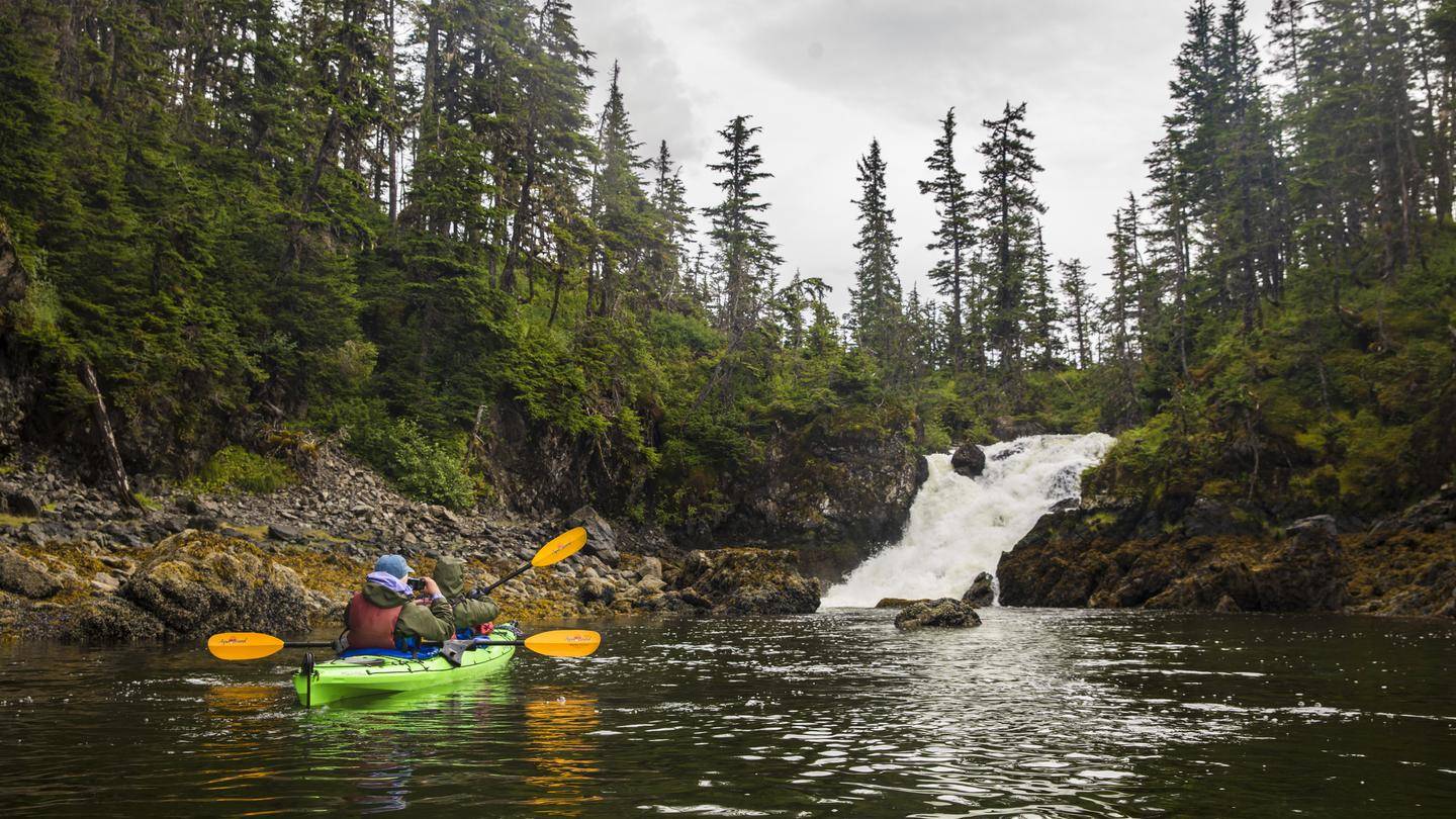 Kayakers paddle near a forest waterfall in Kenai Fjords on the 8-Day Alaskan Adventure: Glaciers & Grizzlies tour.